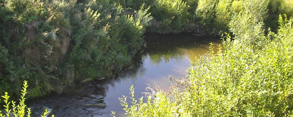 
            Фотография Колпашницы