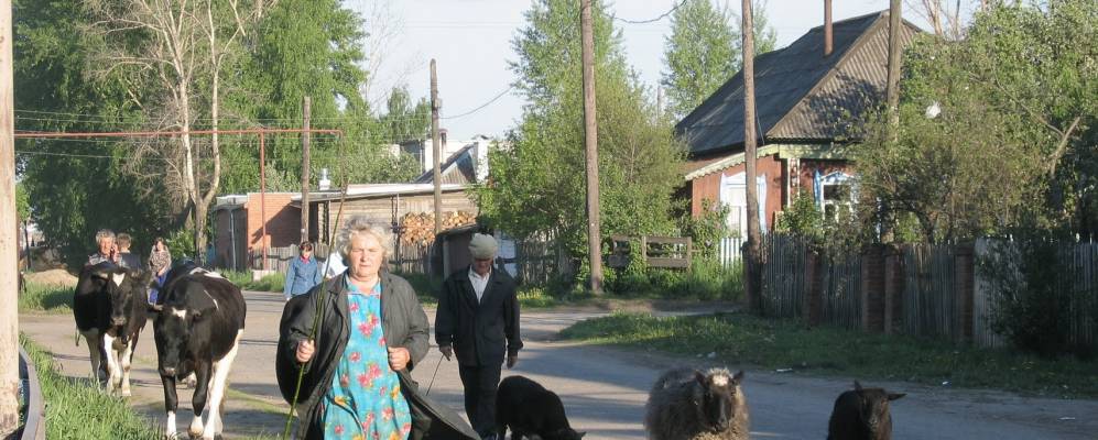 
            Фотография Люперсолы