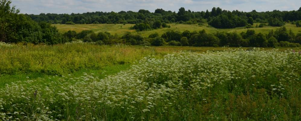 
            Фотография Никольского