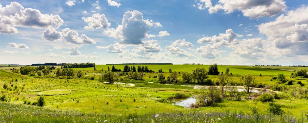
            Фотография Скляево Пятого