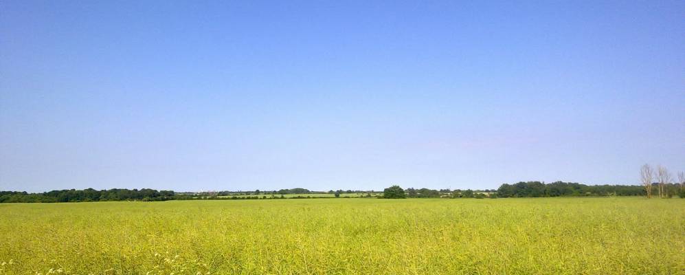 
            Фотография Сен-Сована