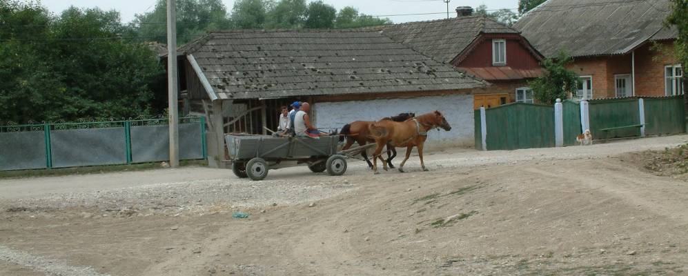 
            Фотография Задарова