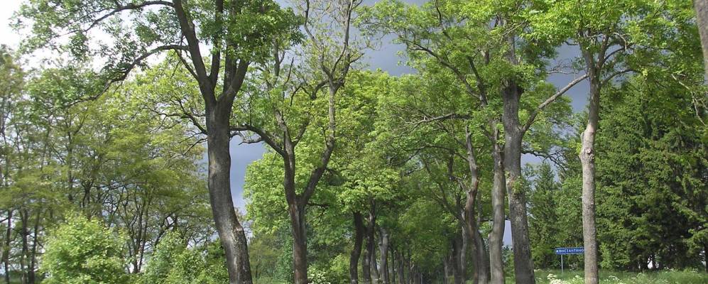 
            Фотография Константиновки