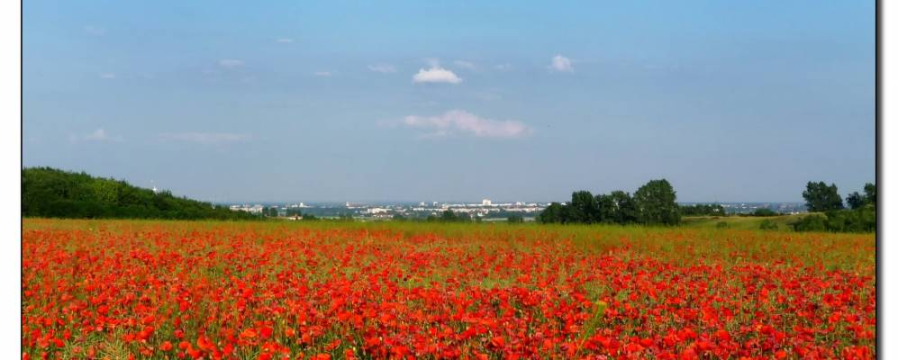 
            Фотография Хоенварслебена