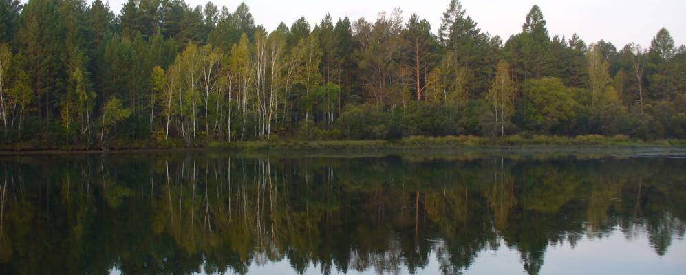 
            Фотография Поморцевы