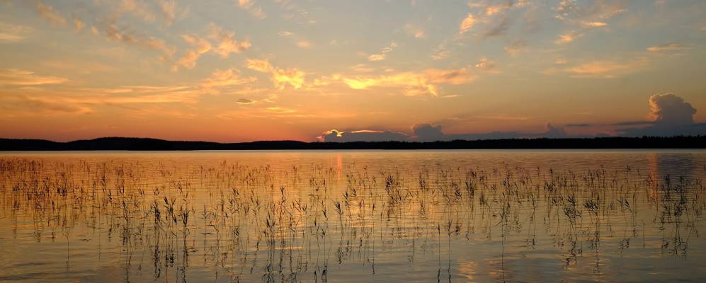 
            Фотография Чёлки