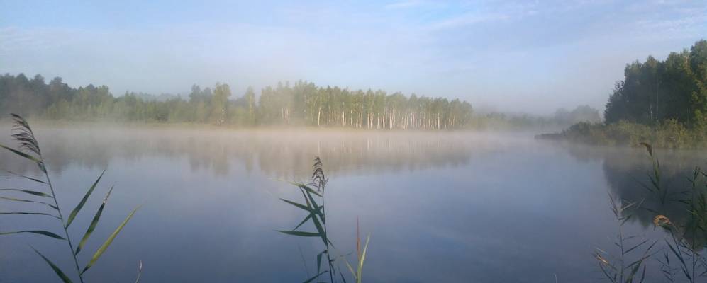 
            Фотография Годыха