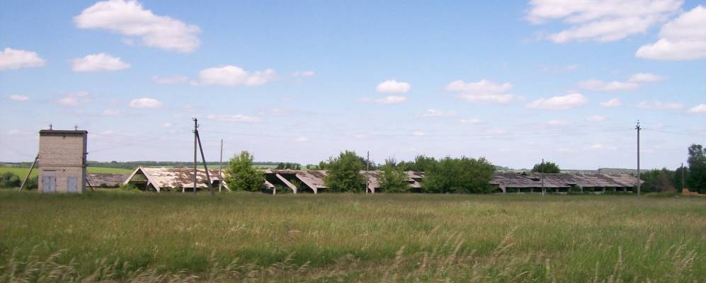 Фотография Зыбино