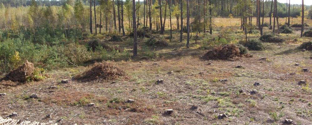 
            Фотография Конотопа