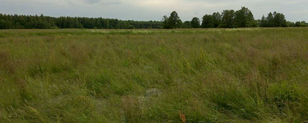 
            Фотография Весёлого Угла