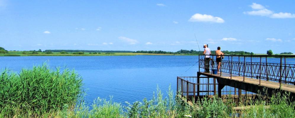 Фотография Ванельков