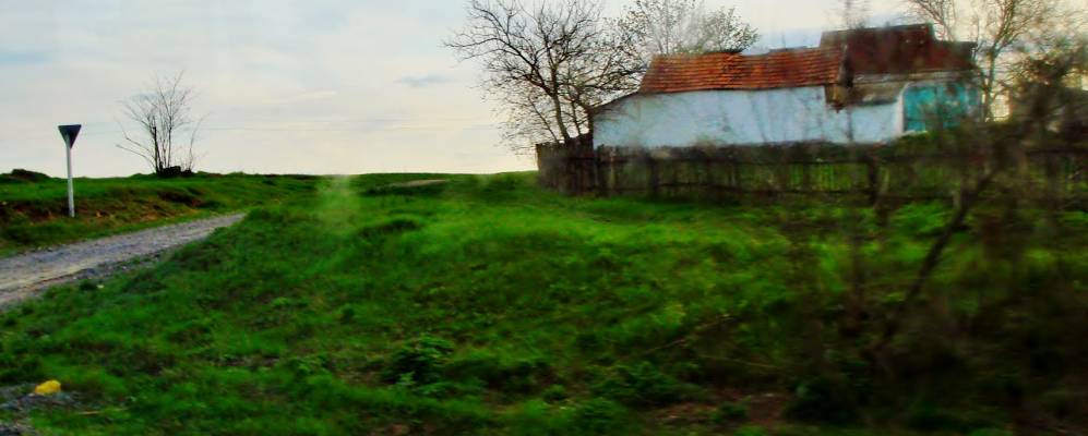 
            Фотография Неморожа