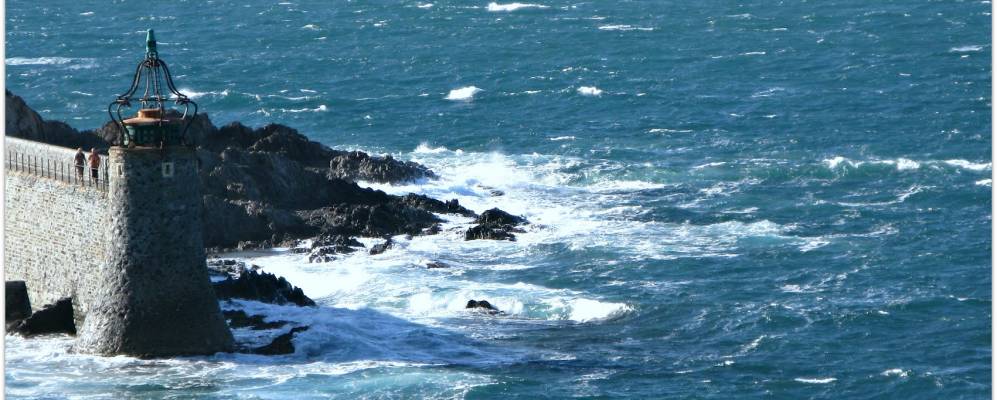 
            Фотография Котлиюра