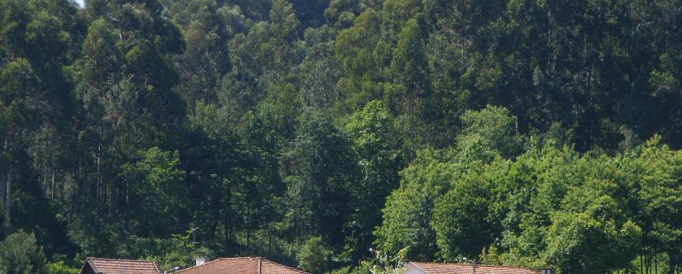 Фотография Фиайнша