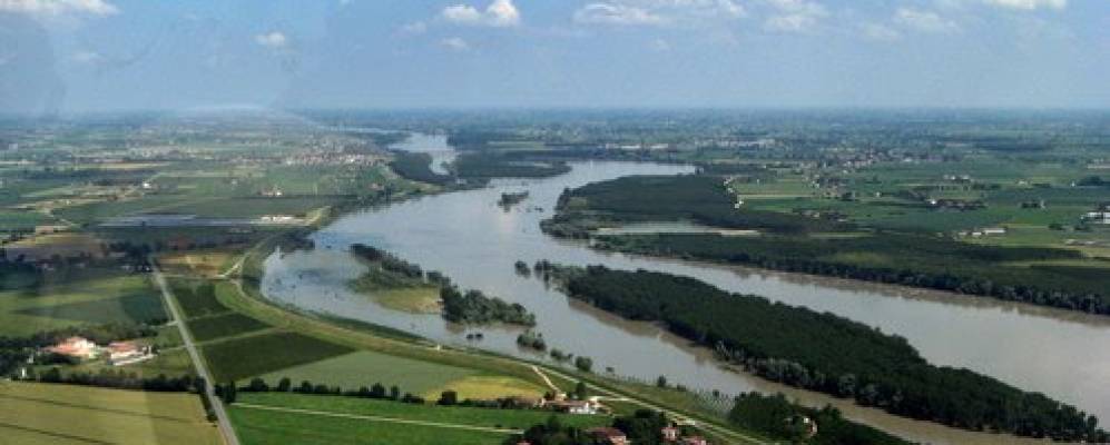 
            Фотография Скорцароло