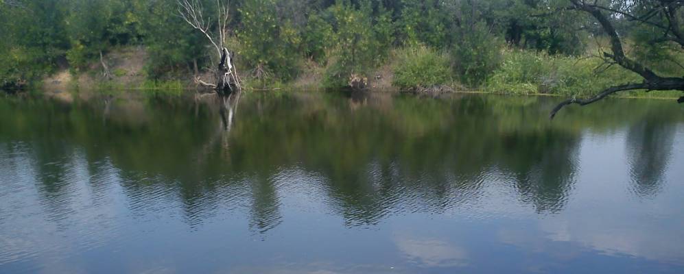 
            Фотография Ношкина