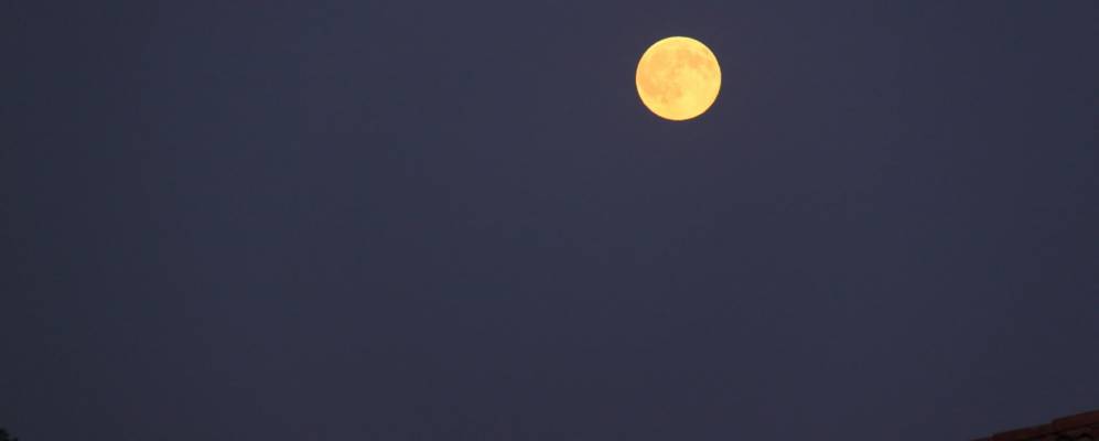 
            Фотография Миссальи