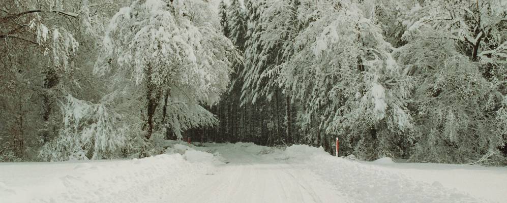 
            Фотография Мургенталь