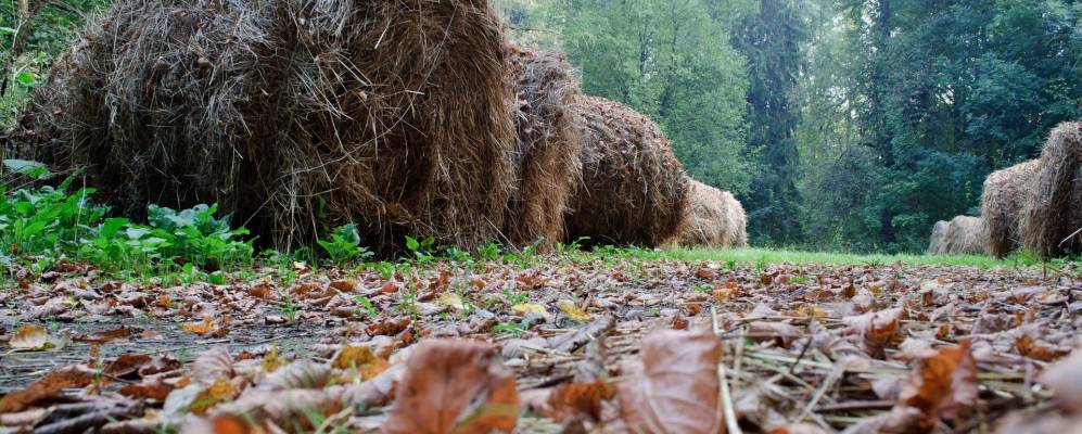
            Фотография Байкала