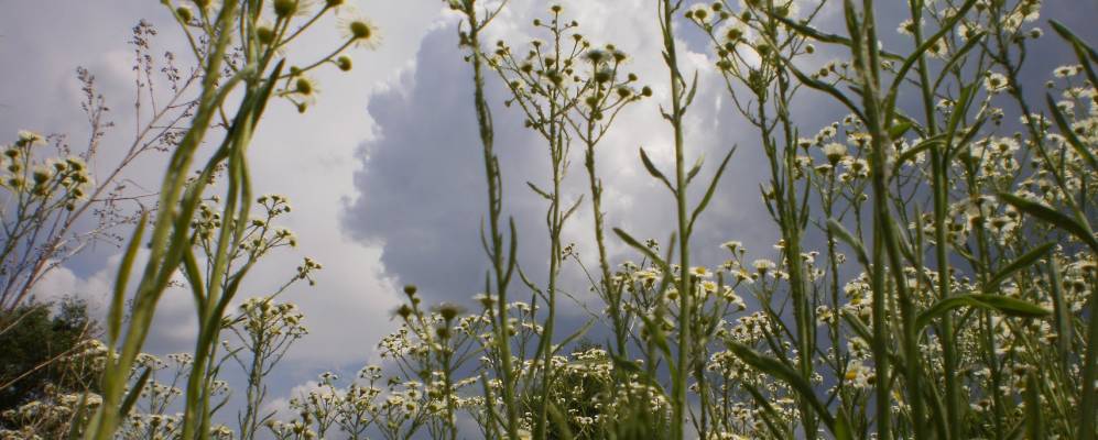 
            Фотография Юровки