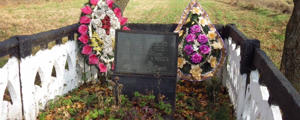 
            Фотография Степного