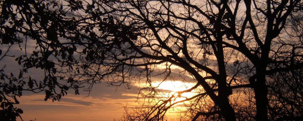 Фотография Сан Систо