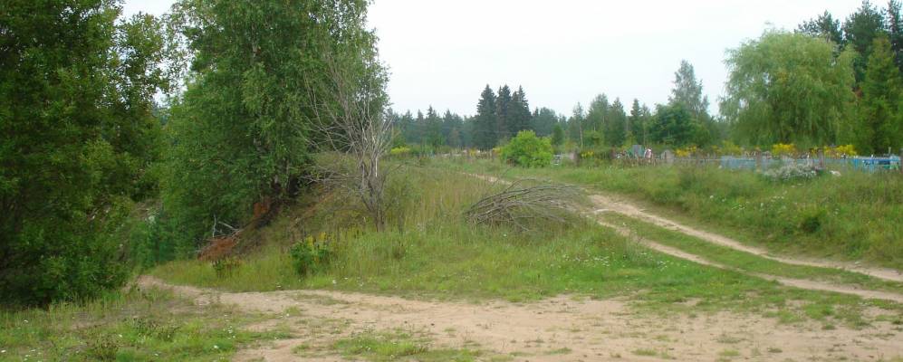 
            Фотография Луга