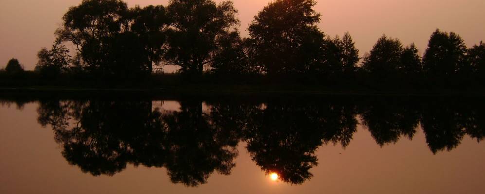 Фотография Отрубы