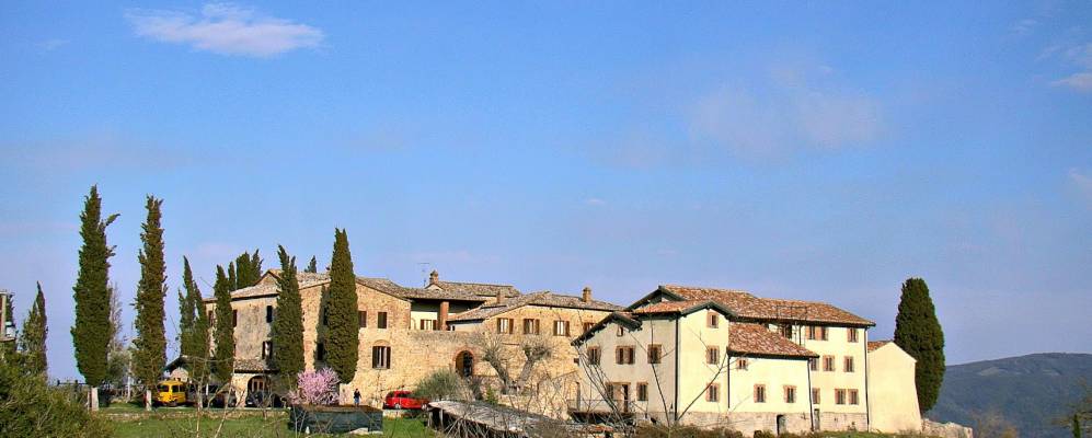 
            Фотография Санто