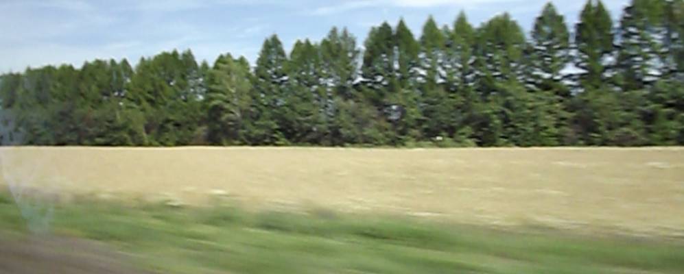 
            Фотография Совхоза Надеждинский