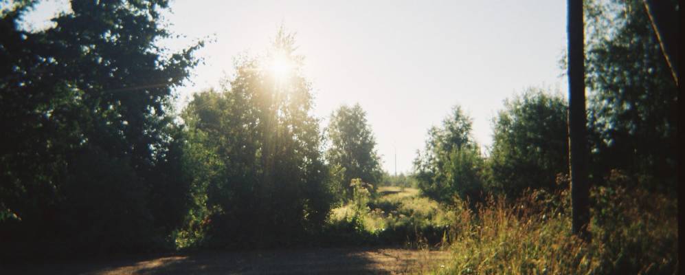 
            Фотография Трутнево