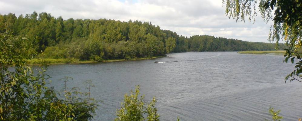 
            Фотография Тимошино