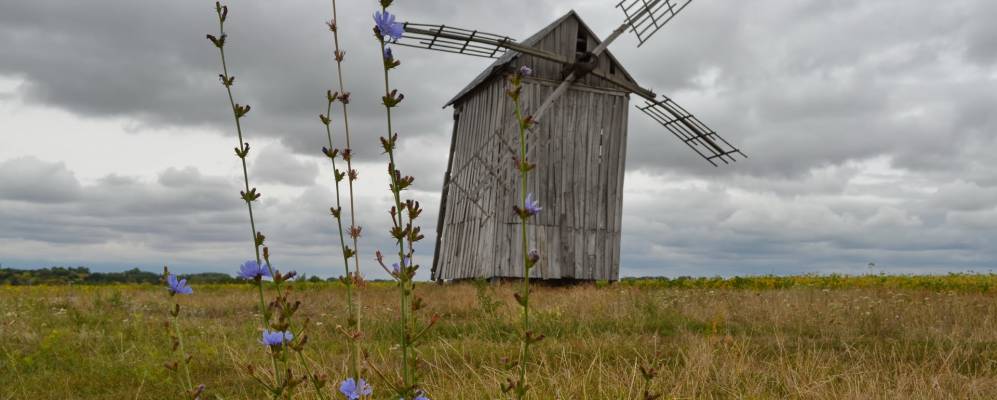 
            Фотография Деркачи