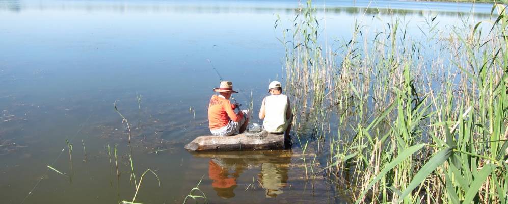 
            Фотография Каневщины