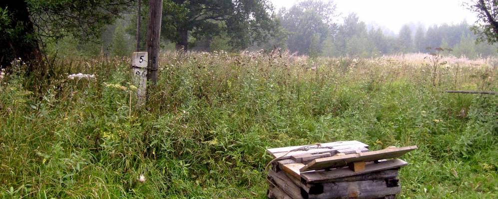 
            Фотография Подольского