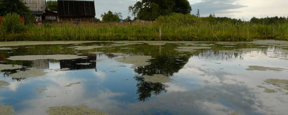 Фотография Яковково