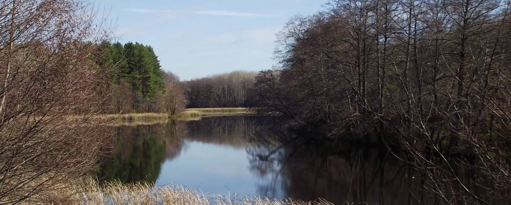
            Фотография Восточного