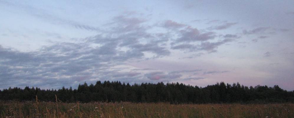 
            Фотография Митино