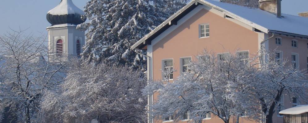 
            Фотография Майтенбета