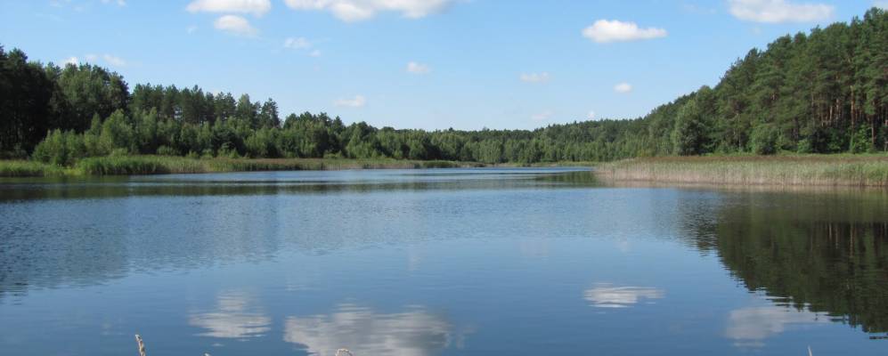 Фотография Заполья