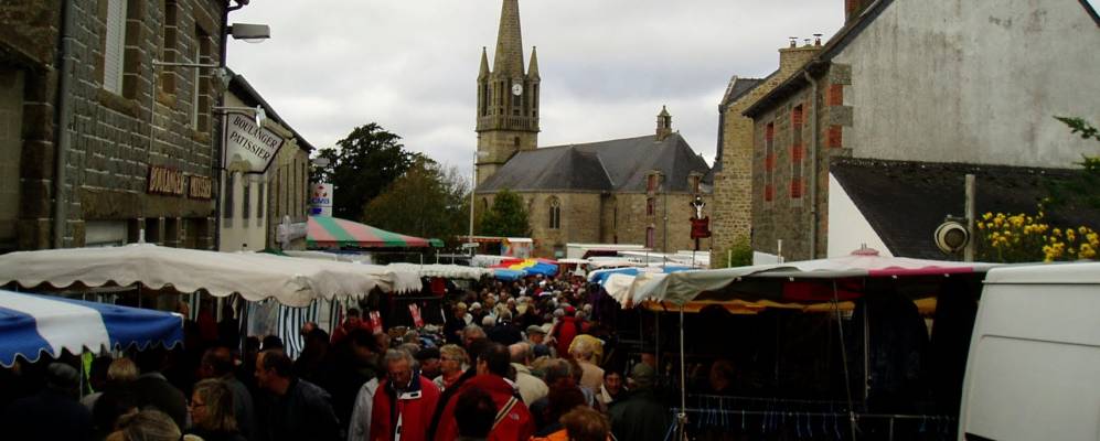 
            Фотография Плентэля