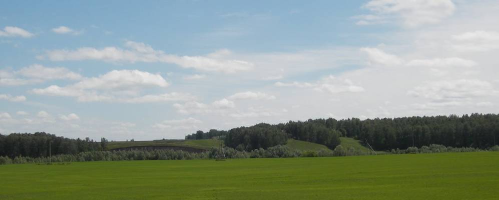 
            Фотография Восьмого Марта