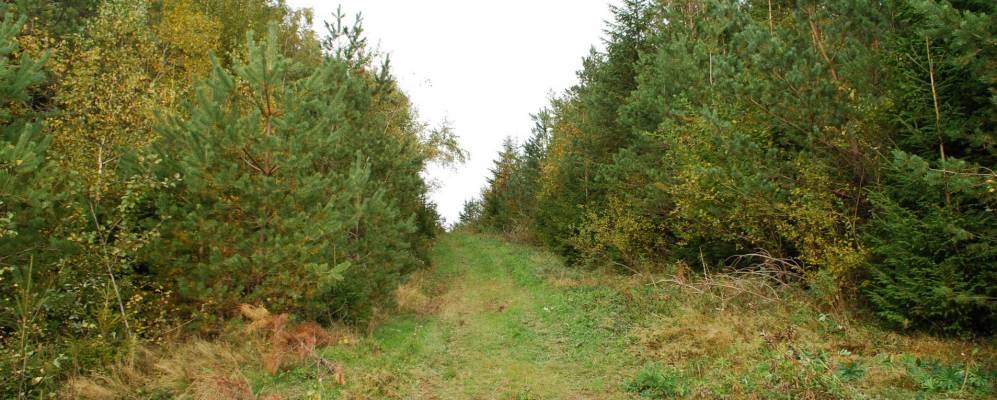 
            Фотография Шумяча