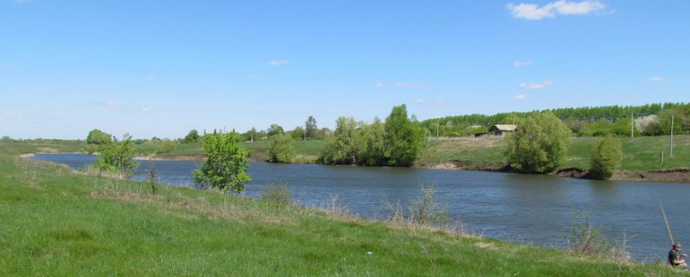 
            Фотография Нижнего