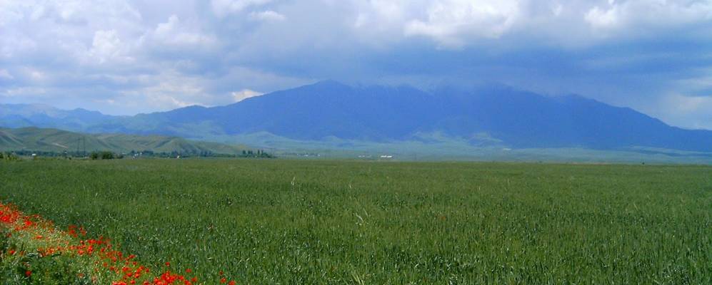 
            Фотография Талапа