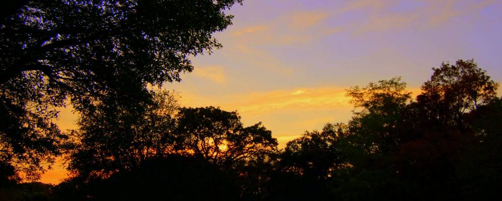 
            Фотография Норт Майами-Бича