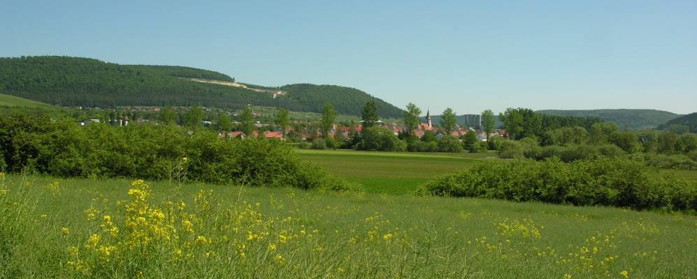 
            Фотография Гайзингена