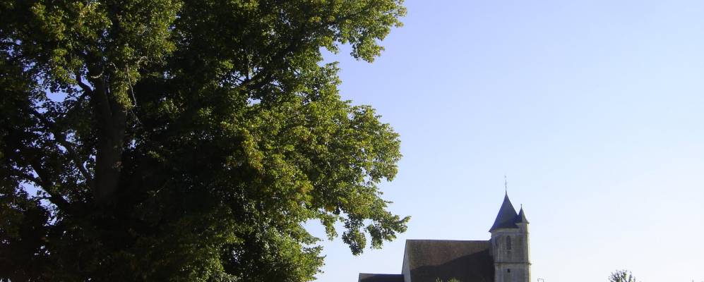 Фотография Сакнвиль