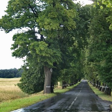 Красноторовка