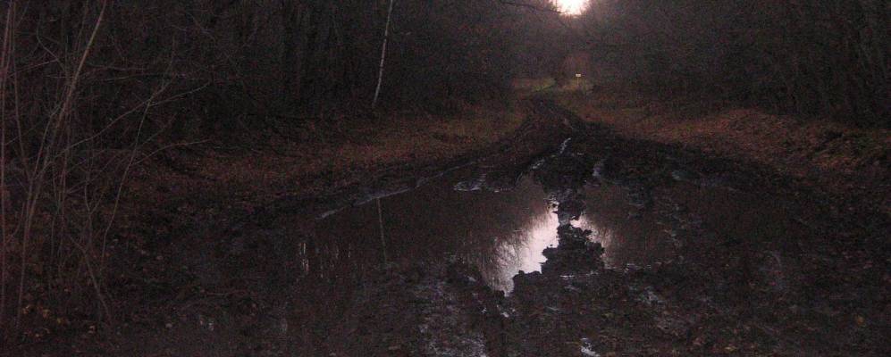 
            Фотография Дербышей